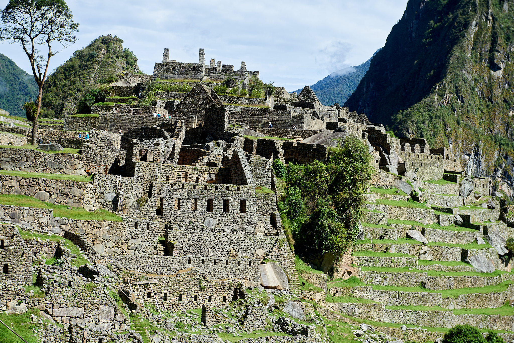 20200308 677 [페루] 마추픽추